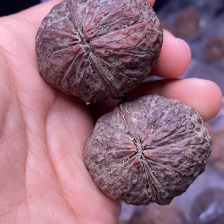 文玩核桃吊坠  108