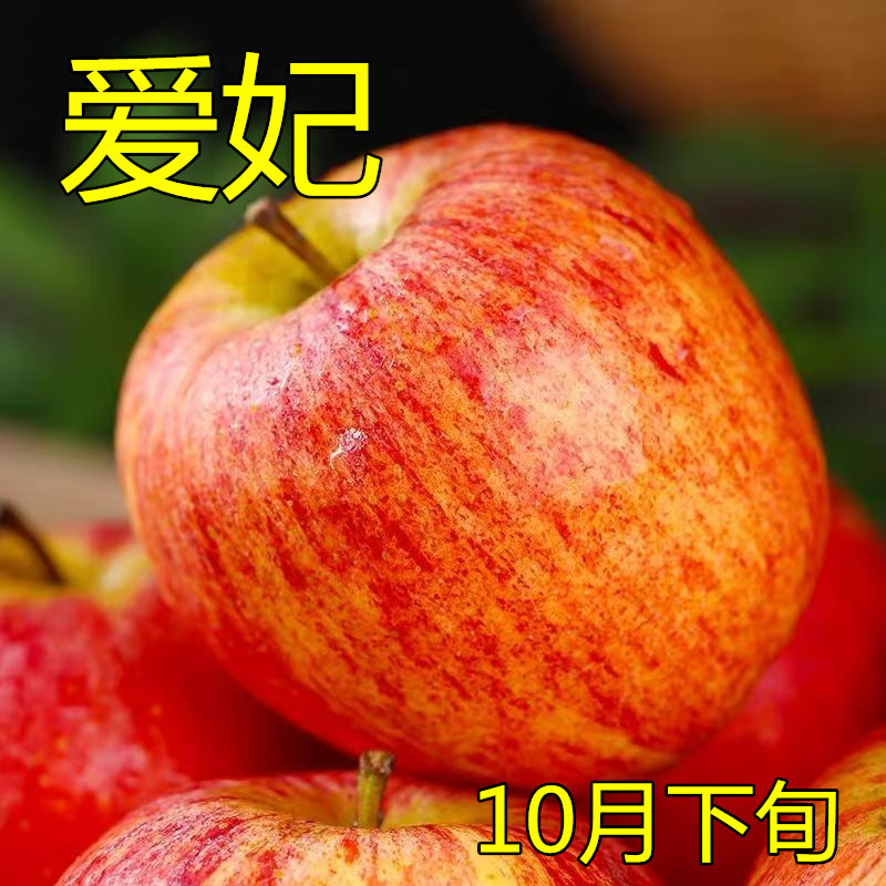 爱妃苹果嫁接苗口感脆甜苹果苗盆栽地栽南北方种植当年结果