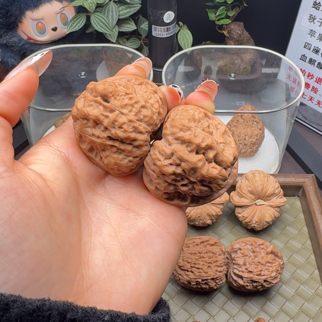 核桃精修三角蛙42