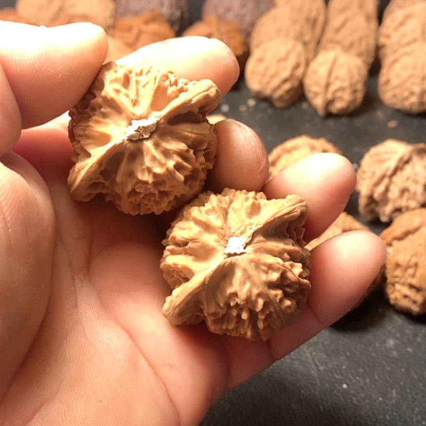 【闪购商品】丽****✨宫灯