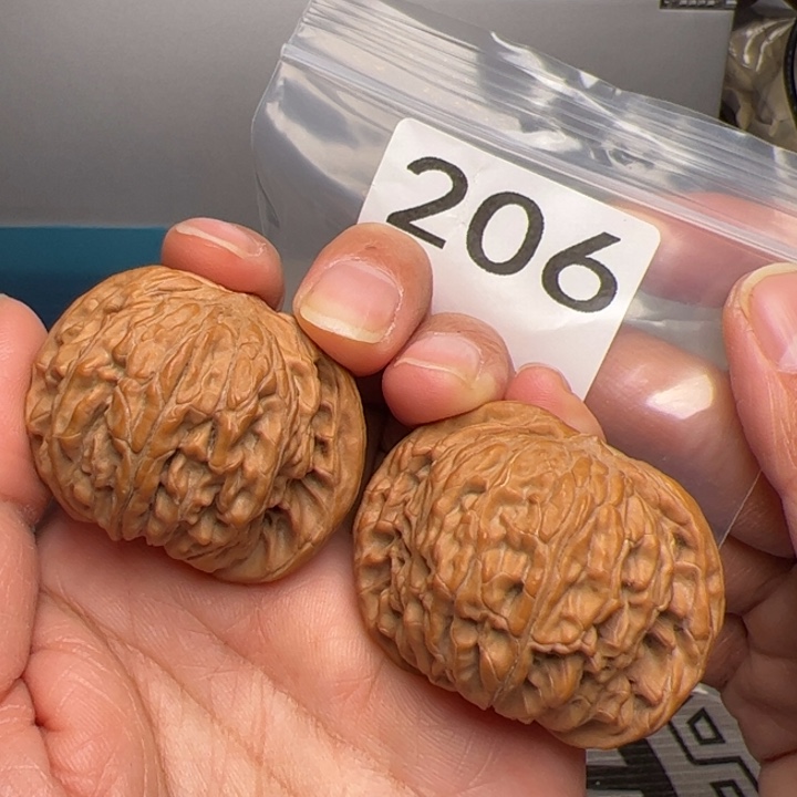 核桃全品正磨206号43尺