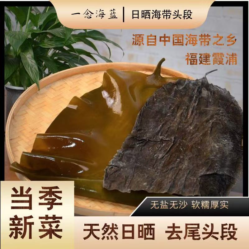 霞浦出口级昆布日晒干海带头8-10倍泡发无泥无沙