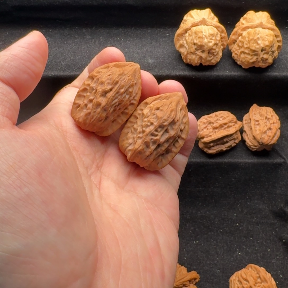 文玩核桃吊坠旺****角27鸡心