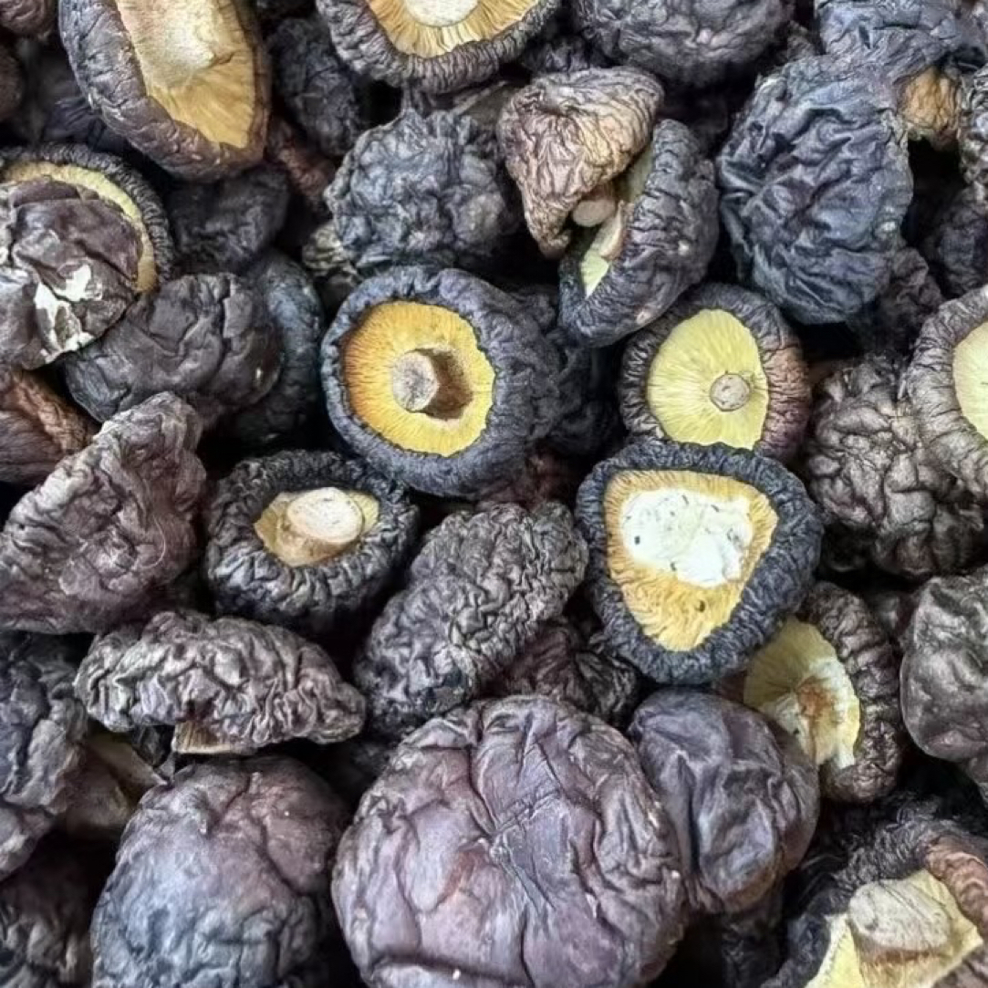 福建干香菇干货营养丰富适合煲汤