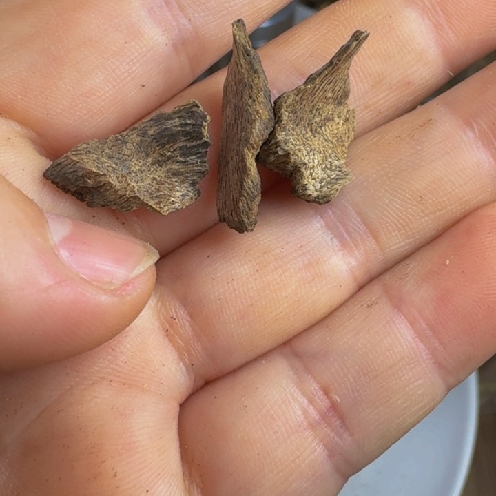 沉香沉香枕海南淳化老包头1.05克