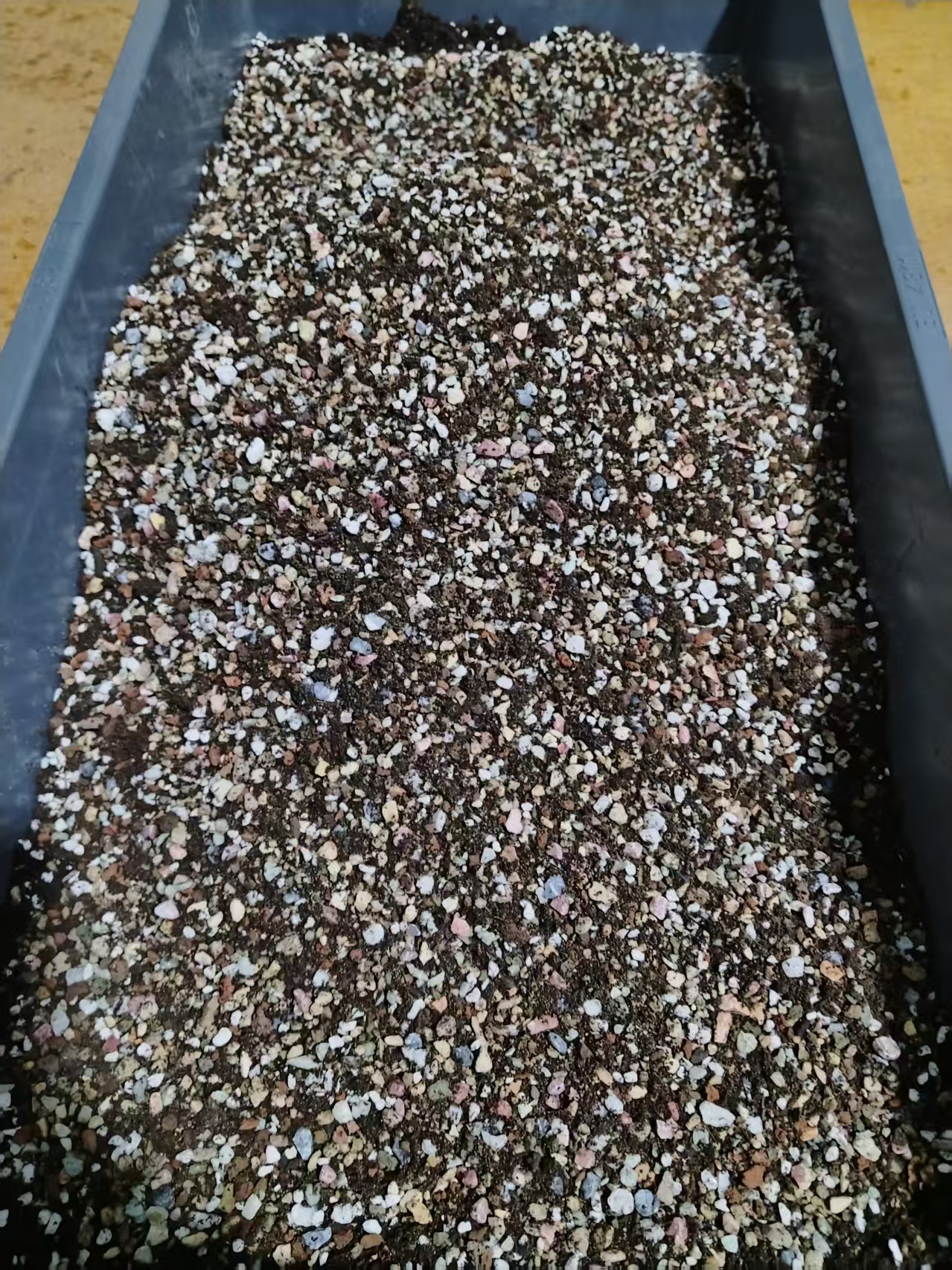 70%的颗粒30%的泥炭土多肉专用颗粒土适合种植疏松透气有机发根