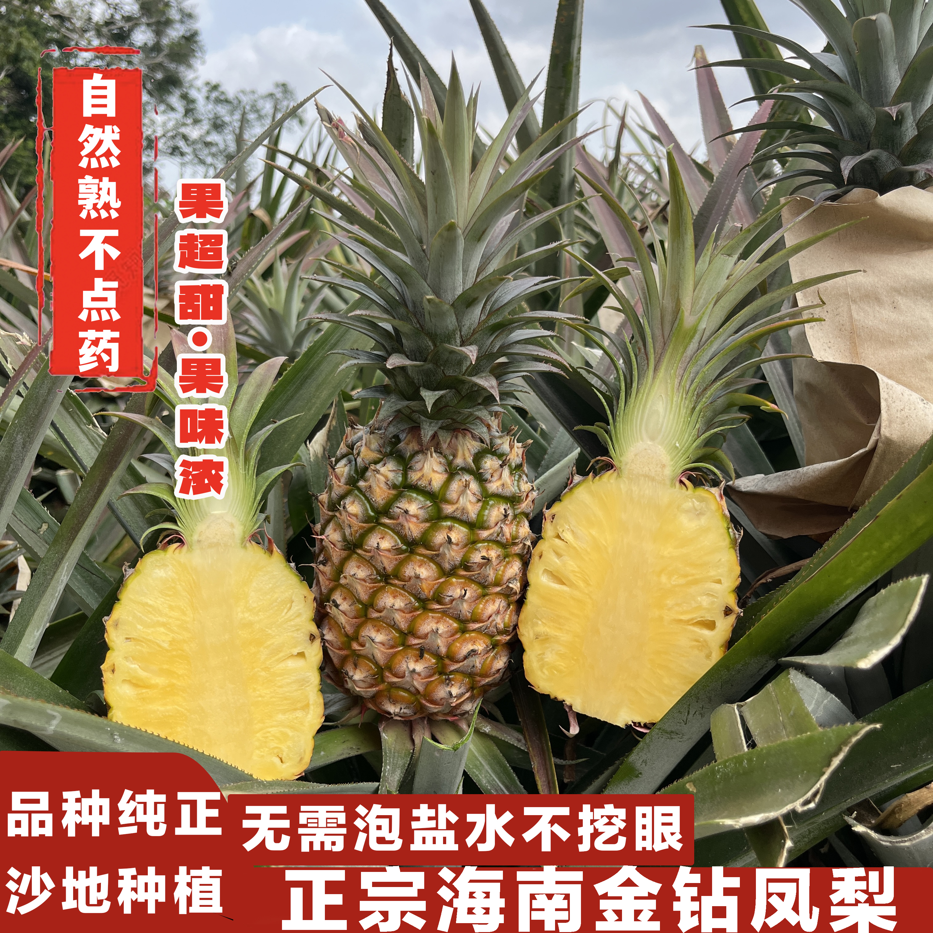 青木海南金钻17号凤梨4.5/5斤装香甜多汁自然熟新鲜当季水果海南
