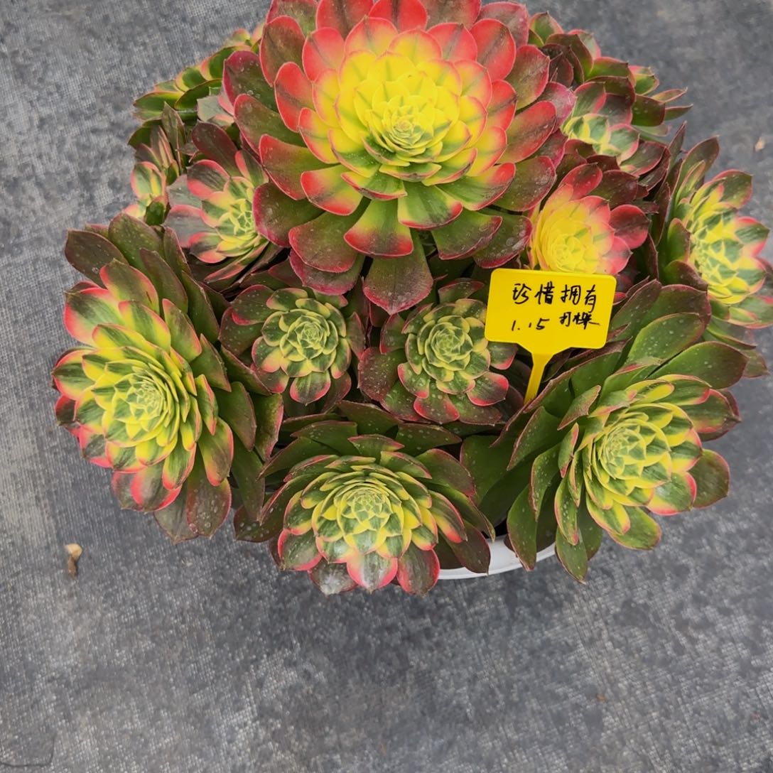 海王法师888888888888