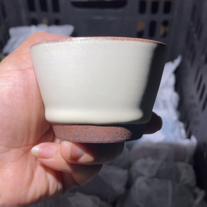 茶盏你说什么都没用