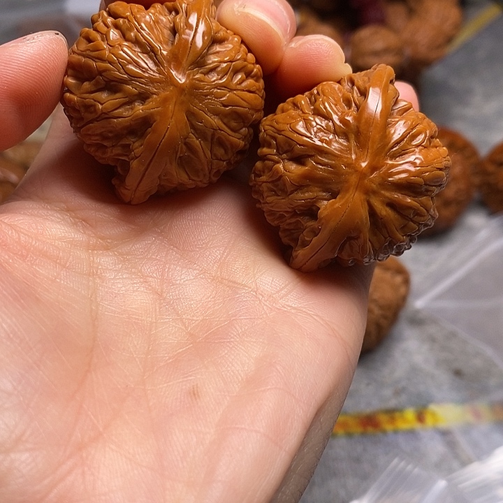 改***呢大叶紫檀（黑酸枝木类）