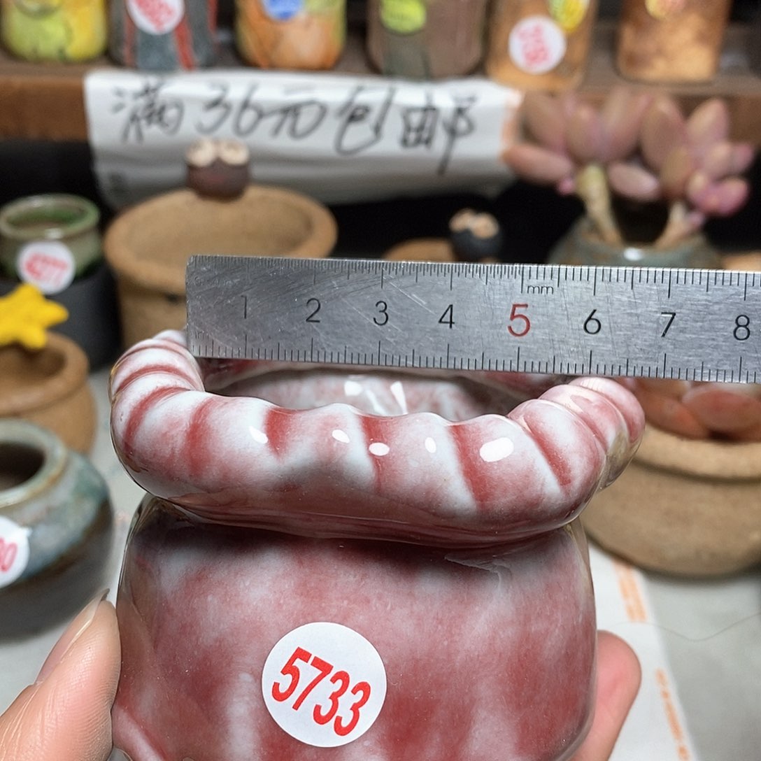 红陶拍5送一个小