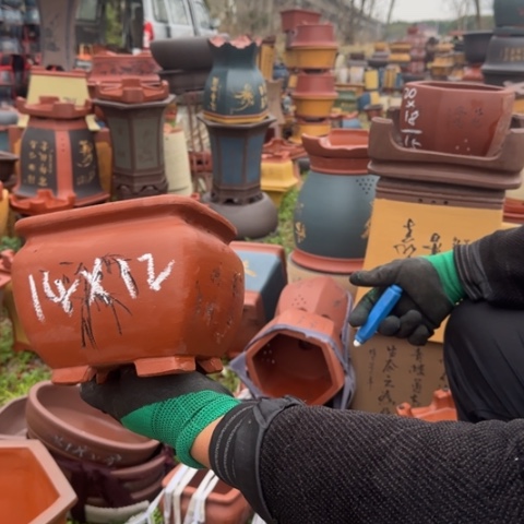 红陶紫砂花盆盆景盆栽