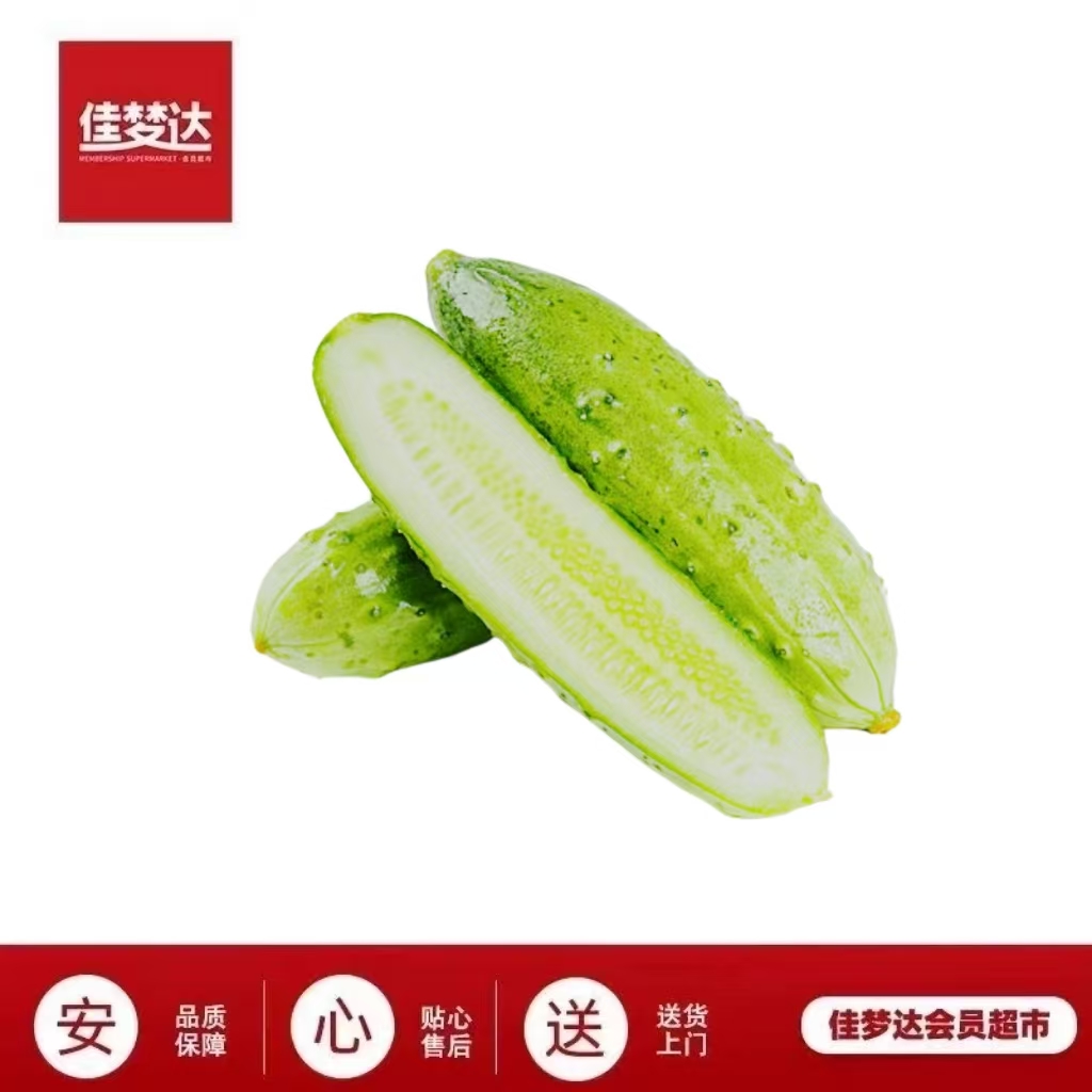 姜大光旱黄瓜 同城配送   