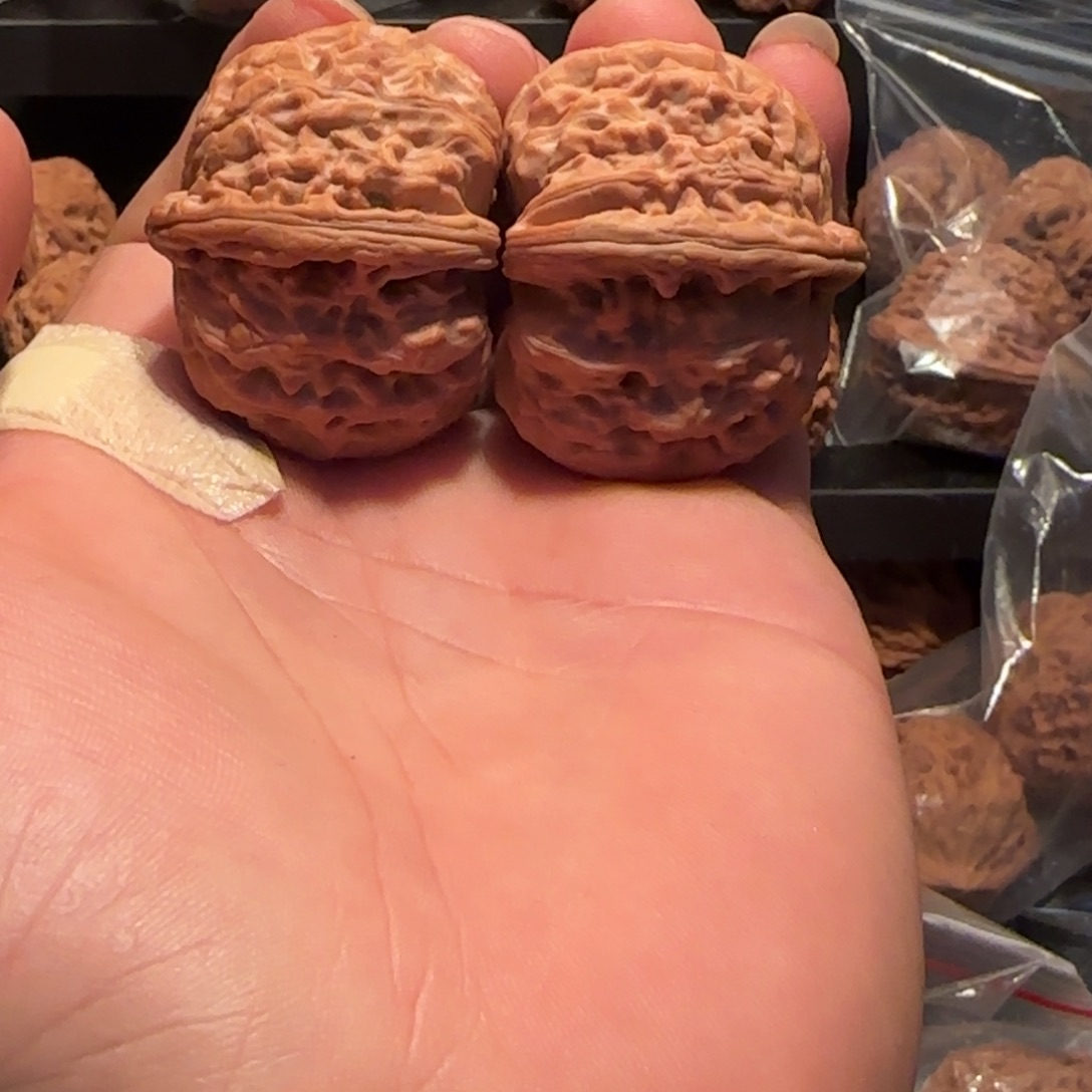 桃核把件家****路白狮子头41