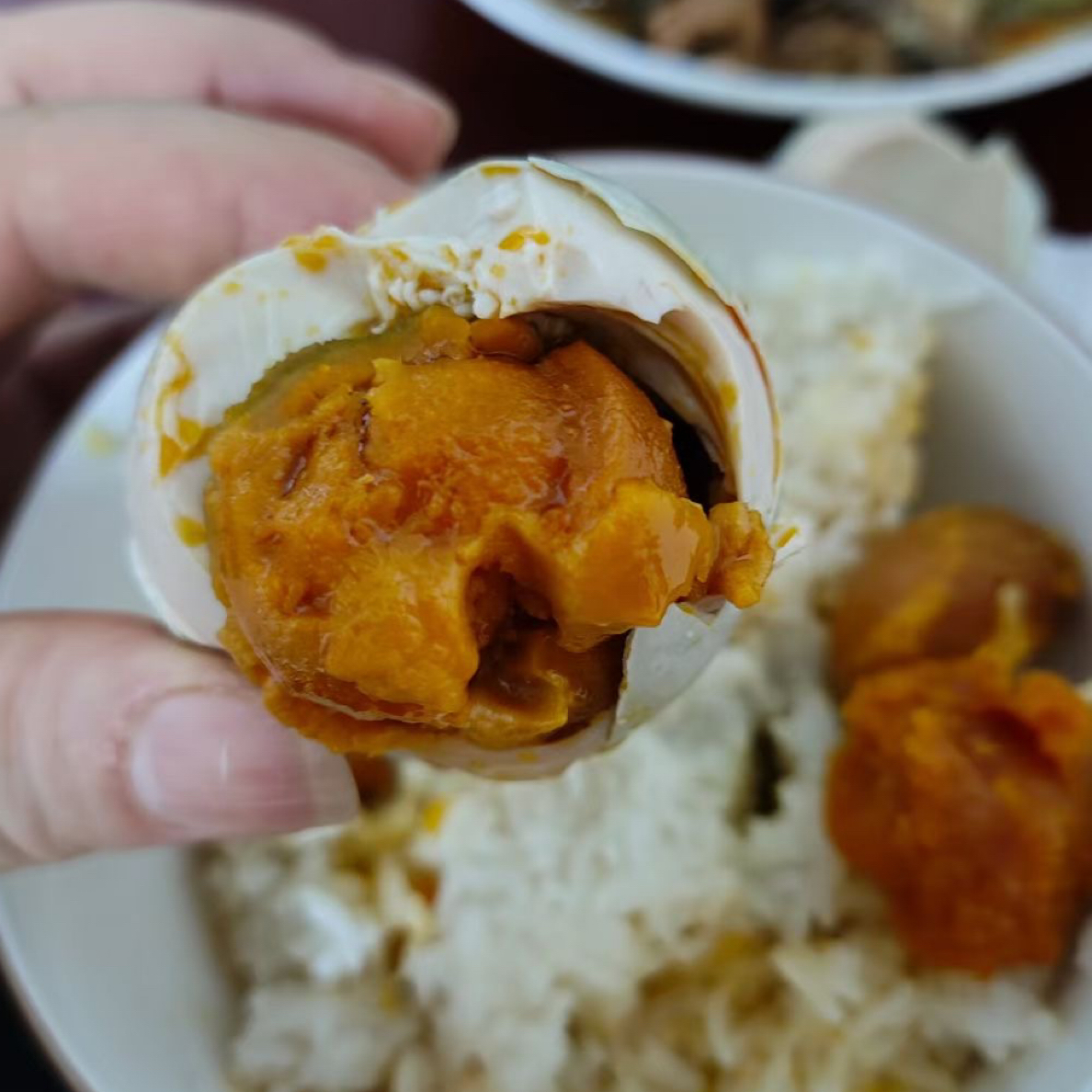 广西北部湾红树林海鸭蛋正宗红心多油咸蛋