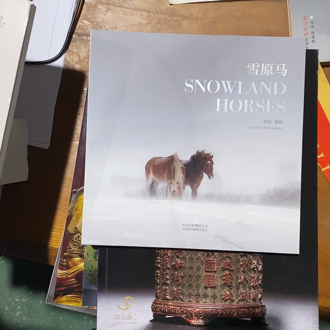血缘马，北京美术摄影出版社
