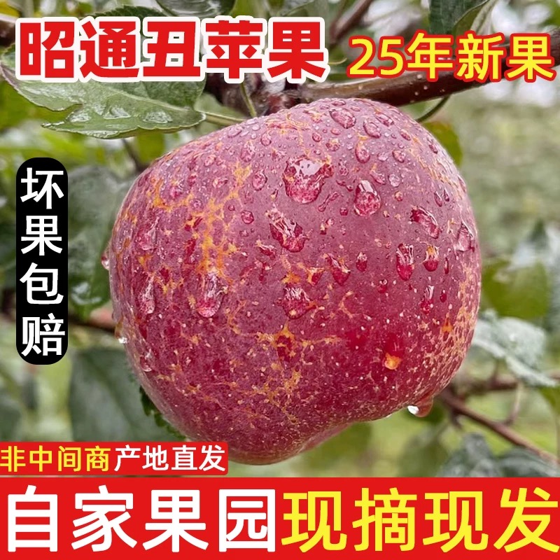 云南昭通丑苹果新鲜现摘高山高原冰糖脆甜高山高原应季水果整箱