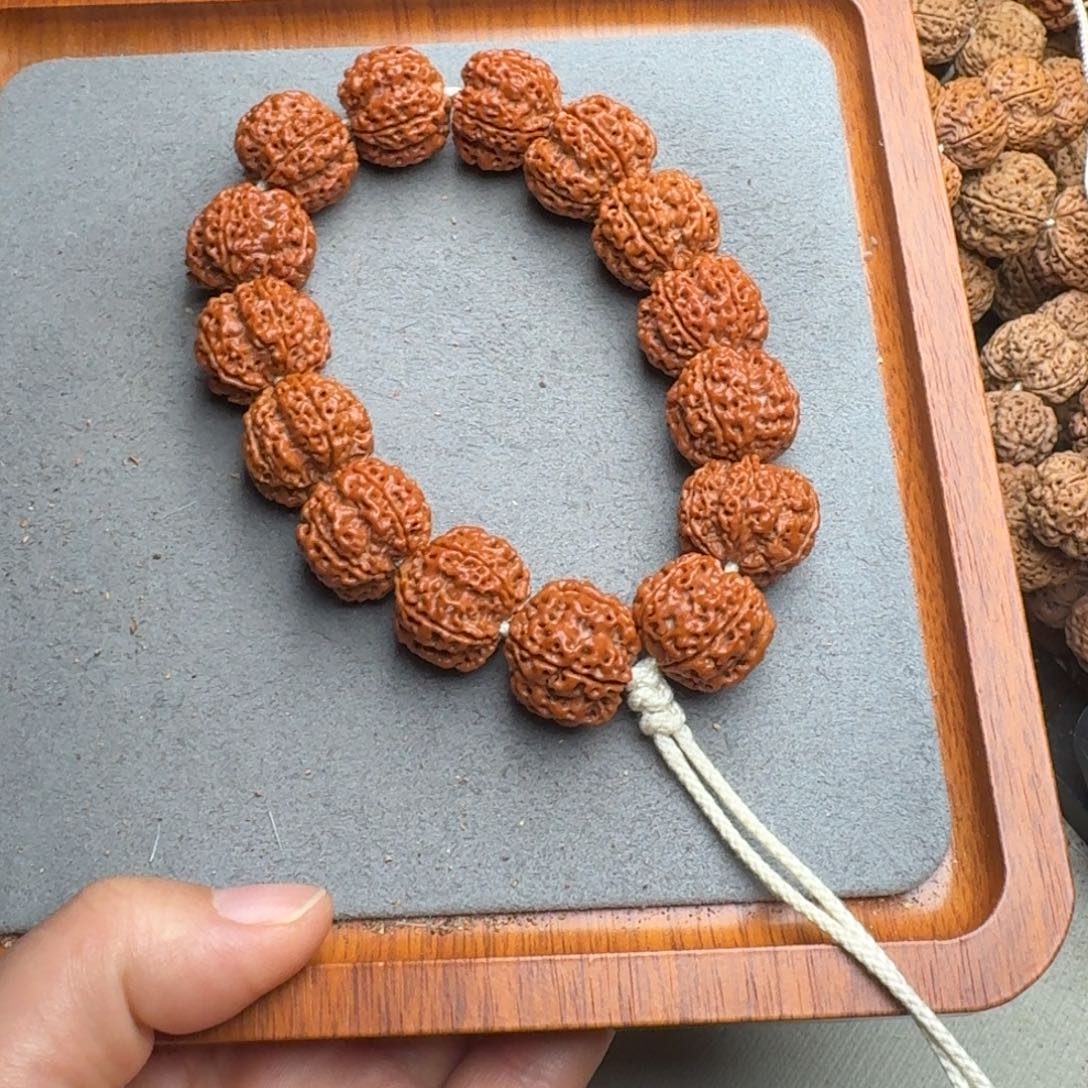 海***空菩提菩提14号尼泊尔大金刚21梅花双龙