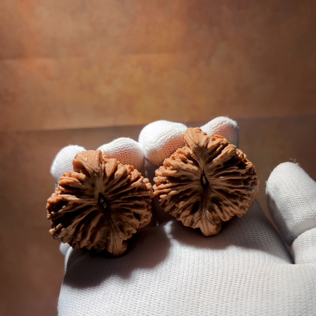 吊坠文玩核桃15号链接41-39-38