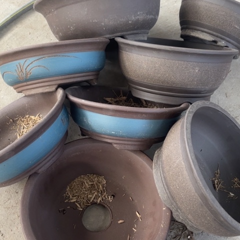 紫砂花盆100-8。   微瑕