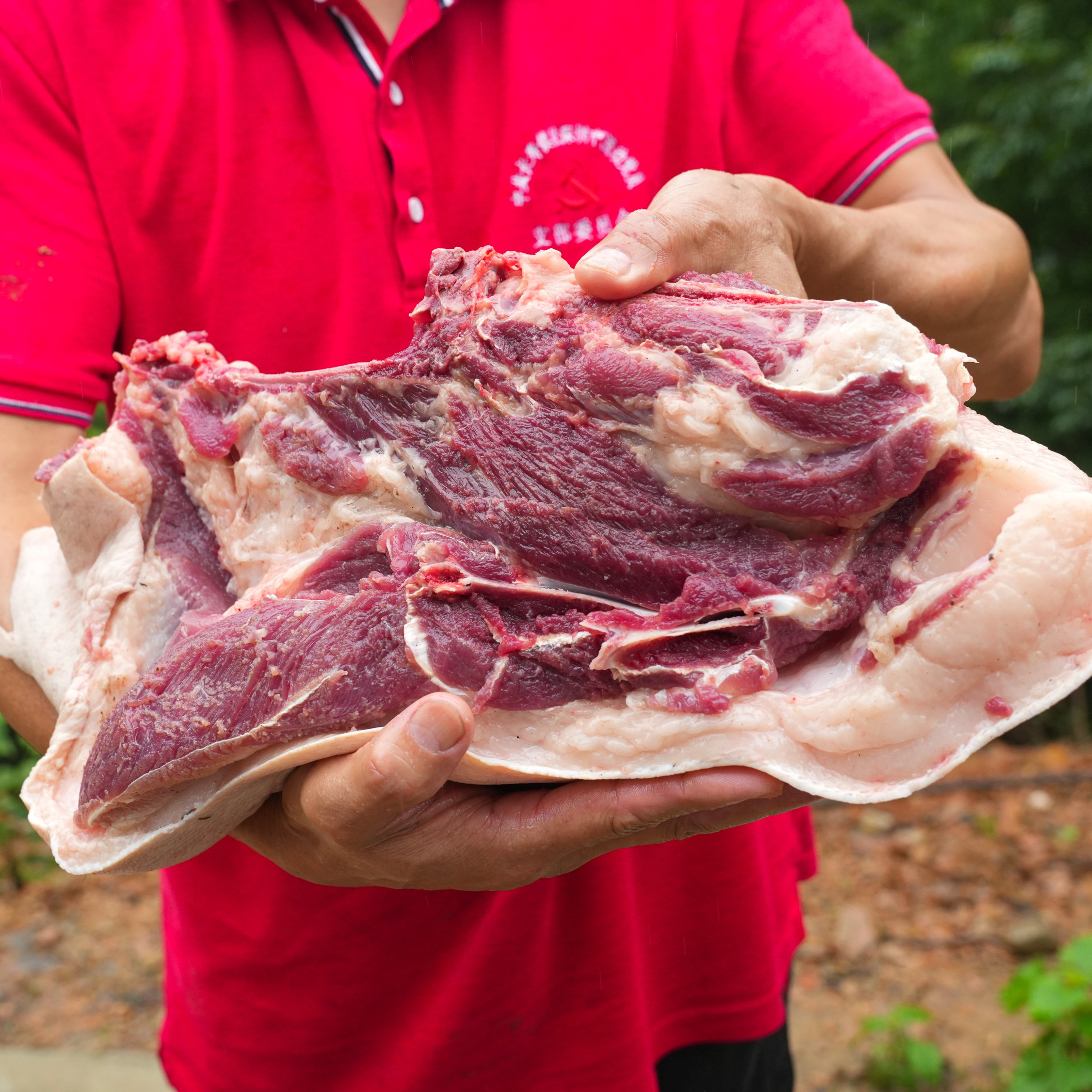 [前腿肉]一物一拍现称深山纯散养小牛猪跑山猪顺丰包邮