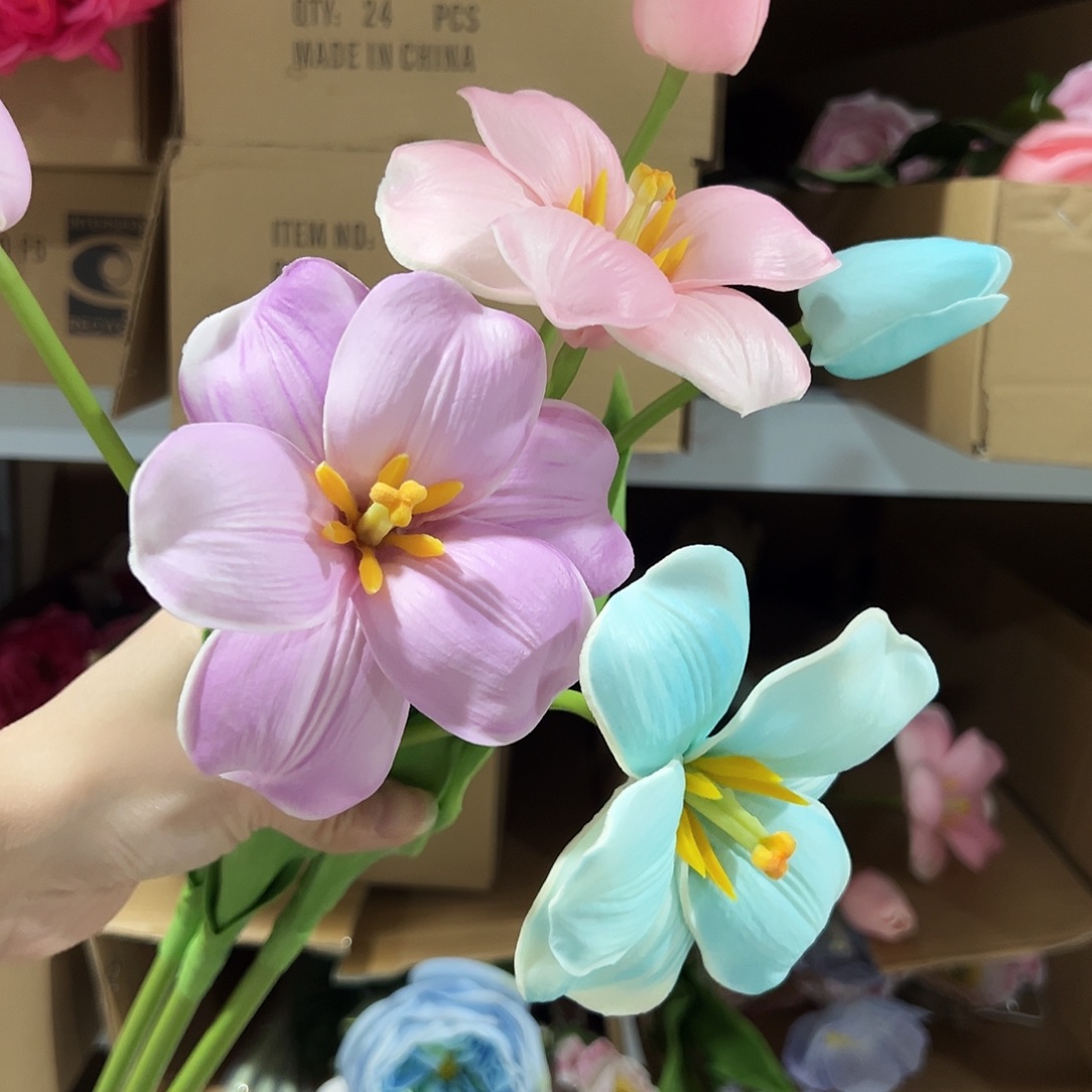 3枝混色2头布朗尼郁金香