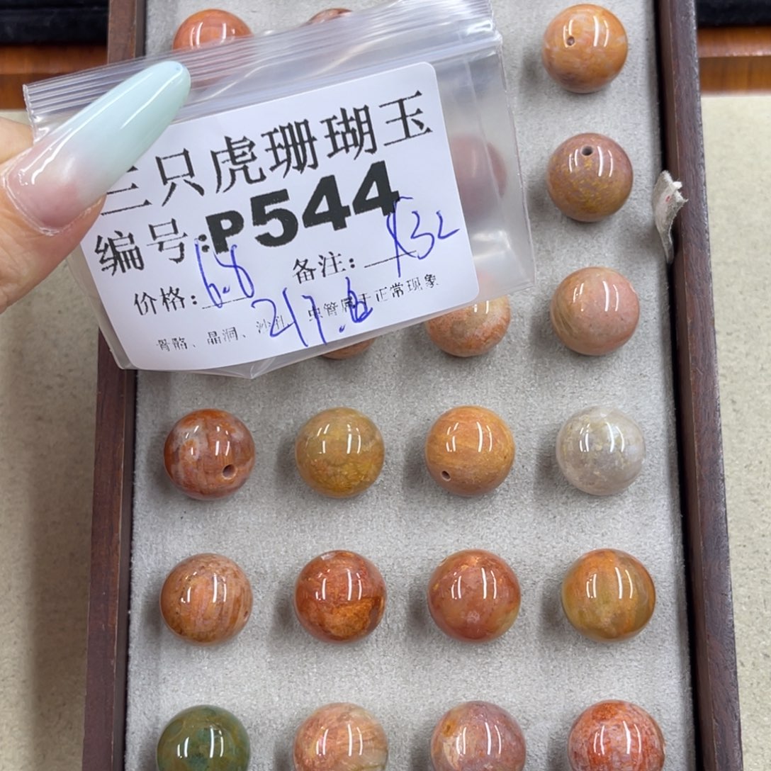 一***伴硅化珊瑚（珊瑚玉）h未镶嵌