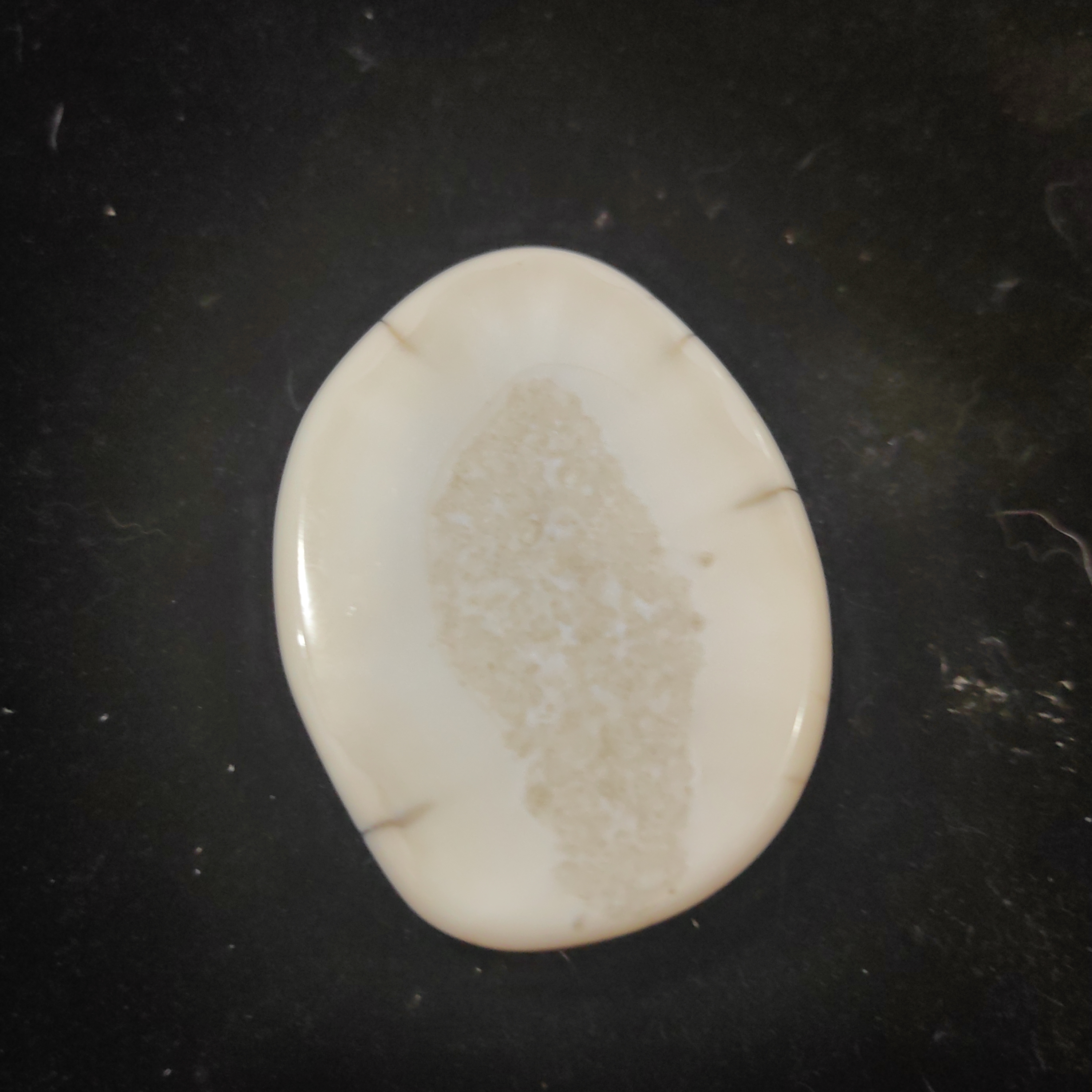 猛犸猛犸虬饼子WW344