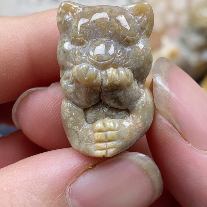 颈饰未镶嵌硅化珊瑚（珊瑚玉）小