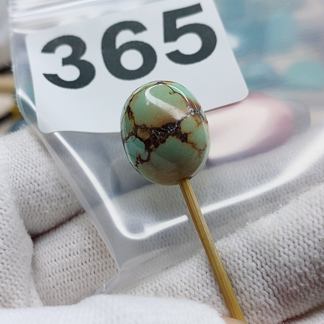 绿松石颈饰未镶嵌