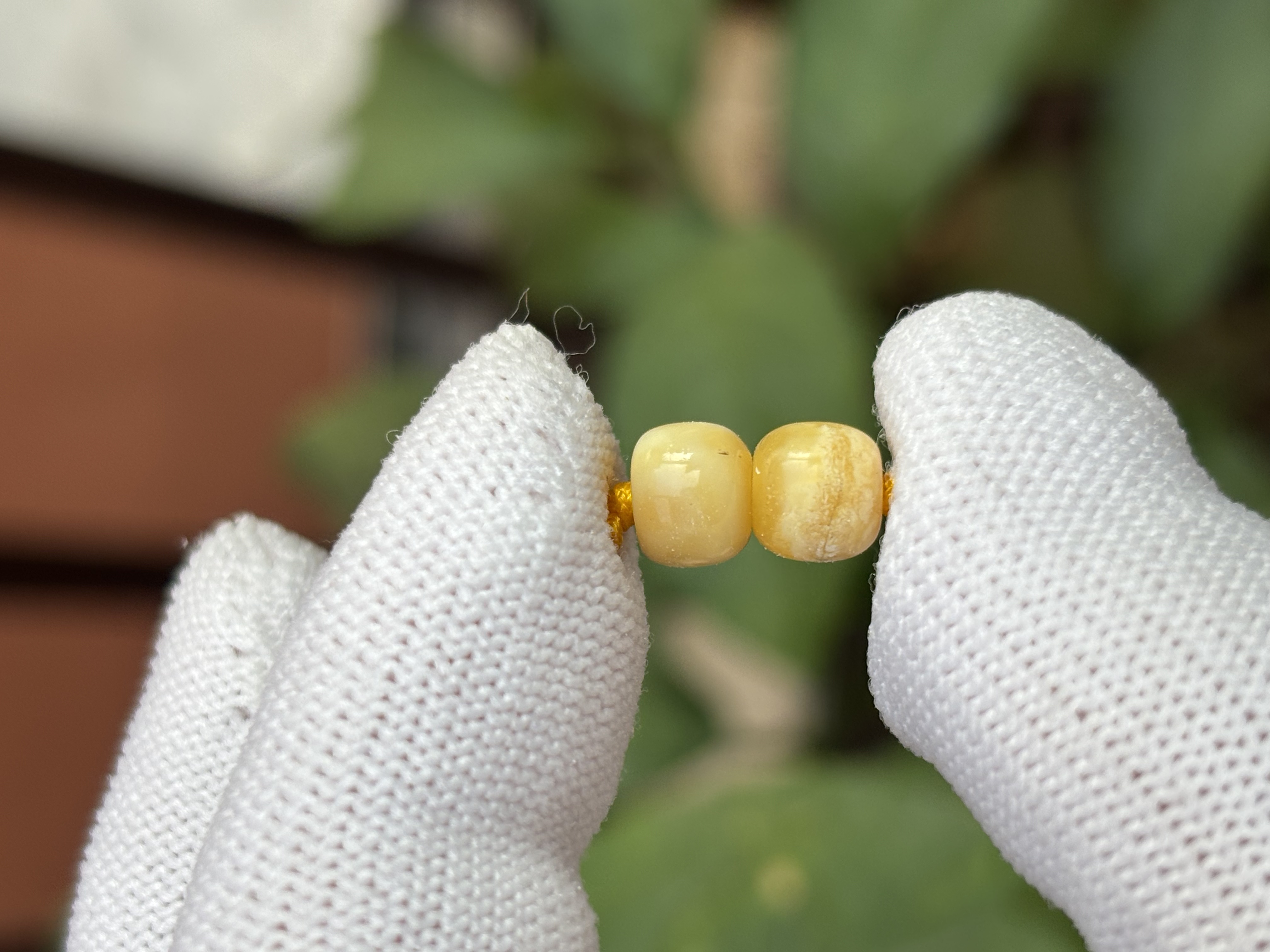 5441天然蜜蜡琥珀微瑕老型墩子7.1x5.6mm