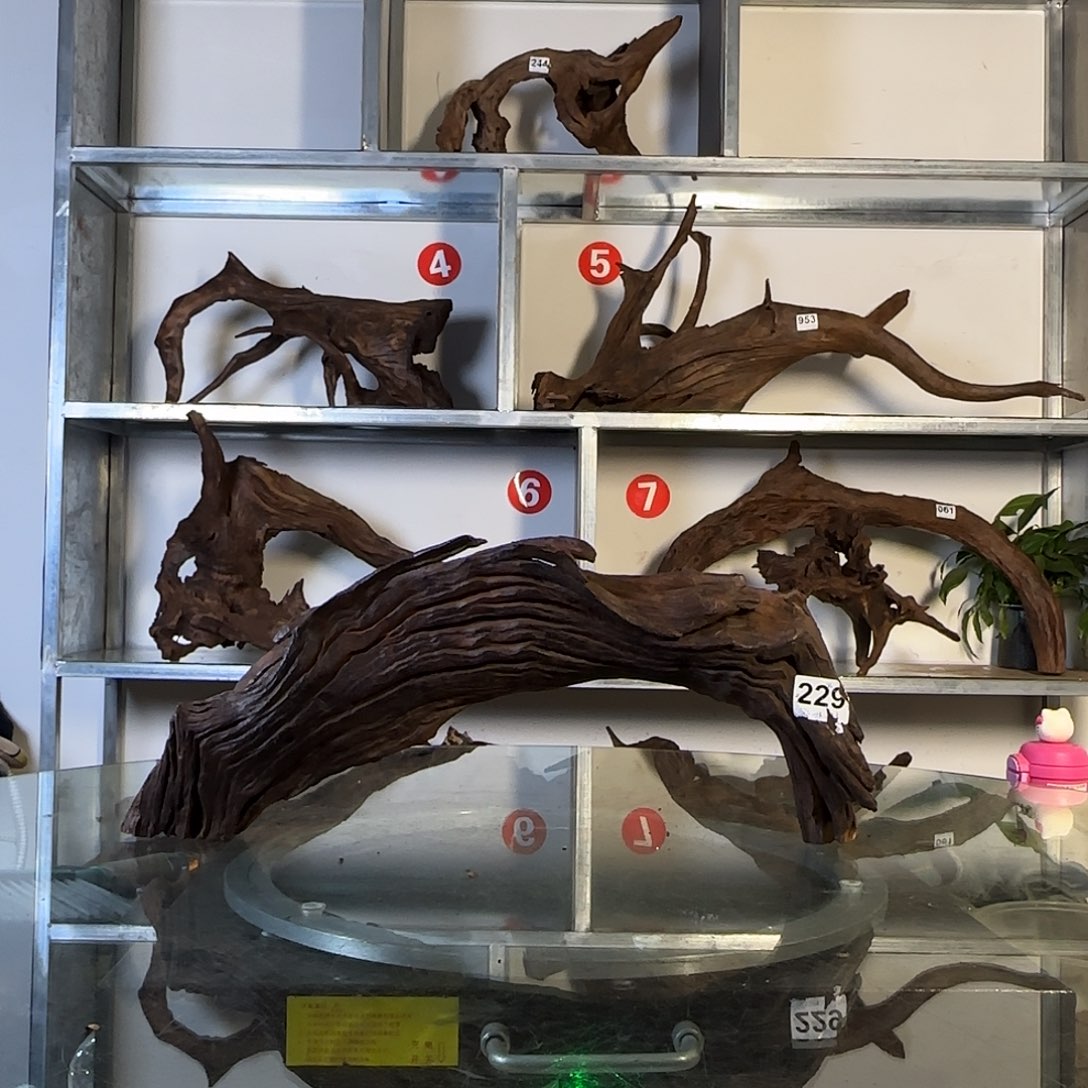 ****云南紫柚木秒沉004