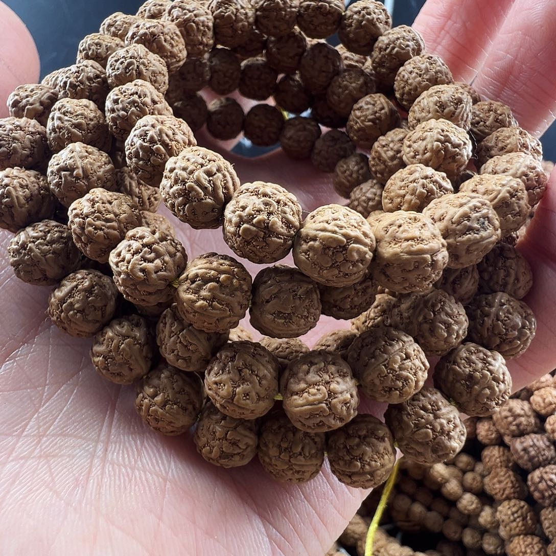 金刚菩提吊坠9.5m嫁接一代龙