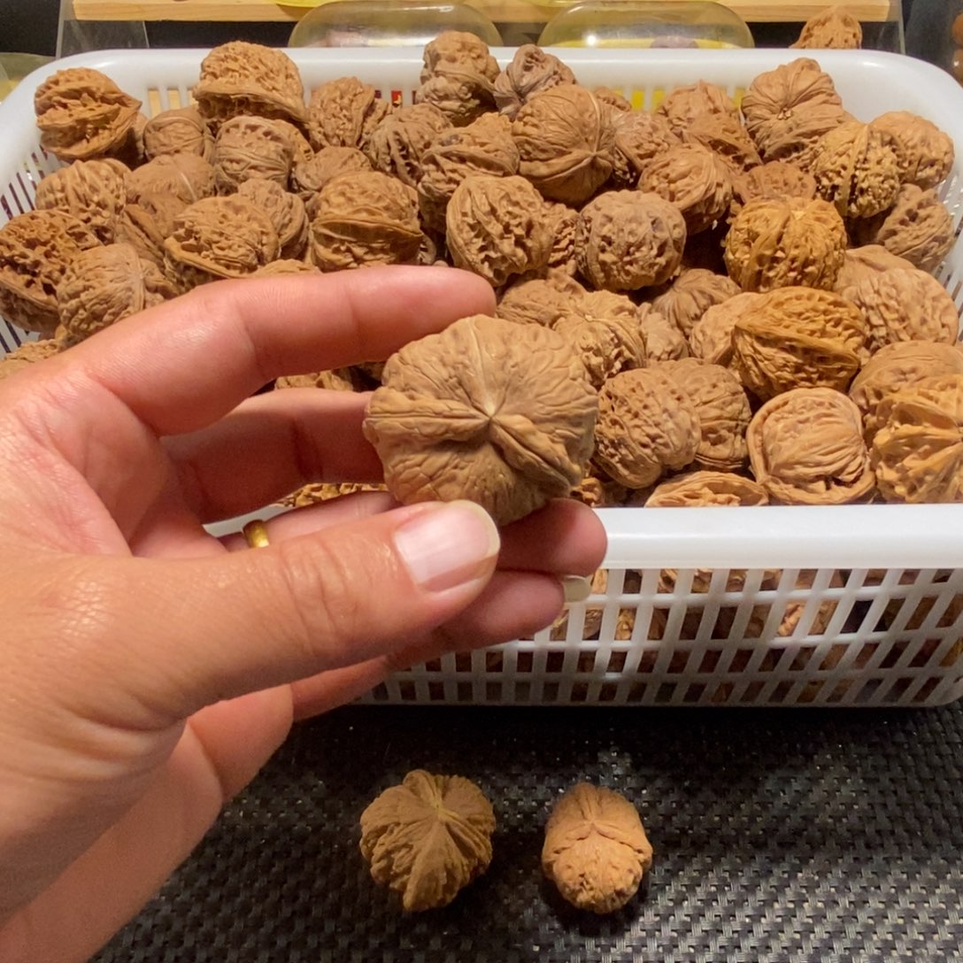 好***名核桃异形单只异形
