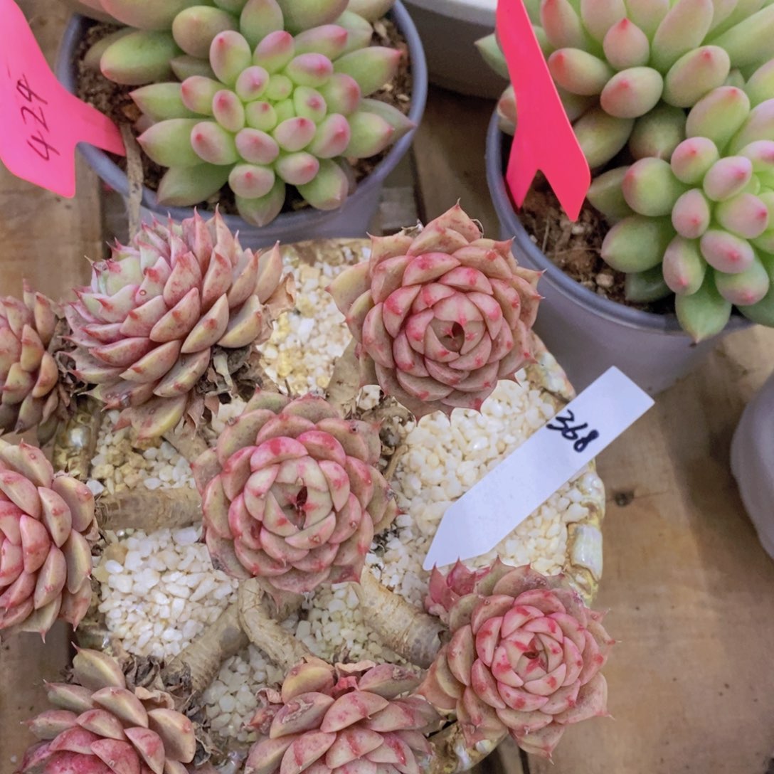 清货转场，一单包邮，满5宋1