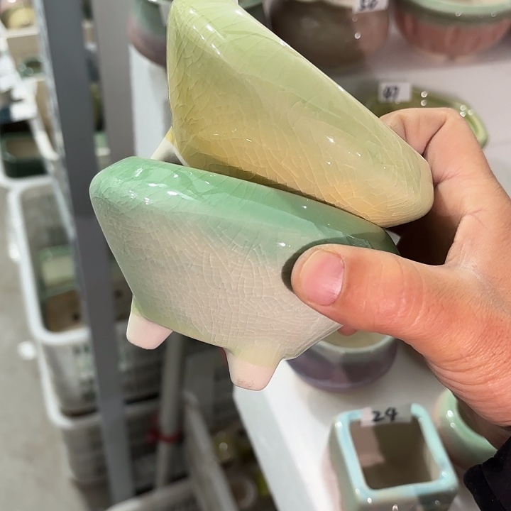 红陶量货｜深浅搭配发货4