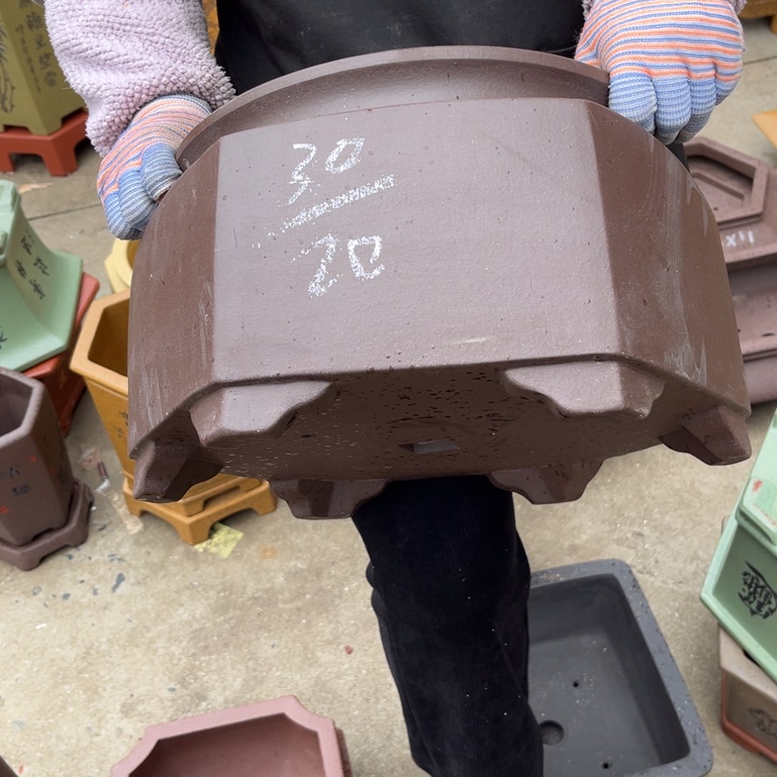 紫砂花盆盆景艺术