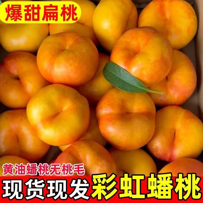 达人【彩虹蟠桃】山东蒙阴彩虹蟠桃黄金蟠桃油桃新鲜水果时令应当季整箱山东省