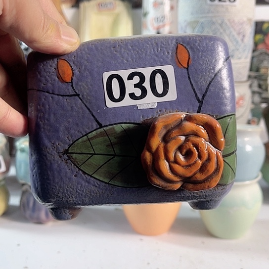 红陶多肉植物花盆