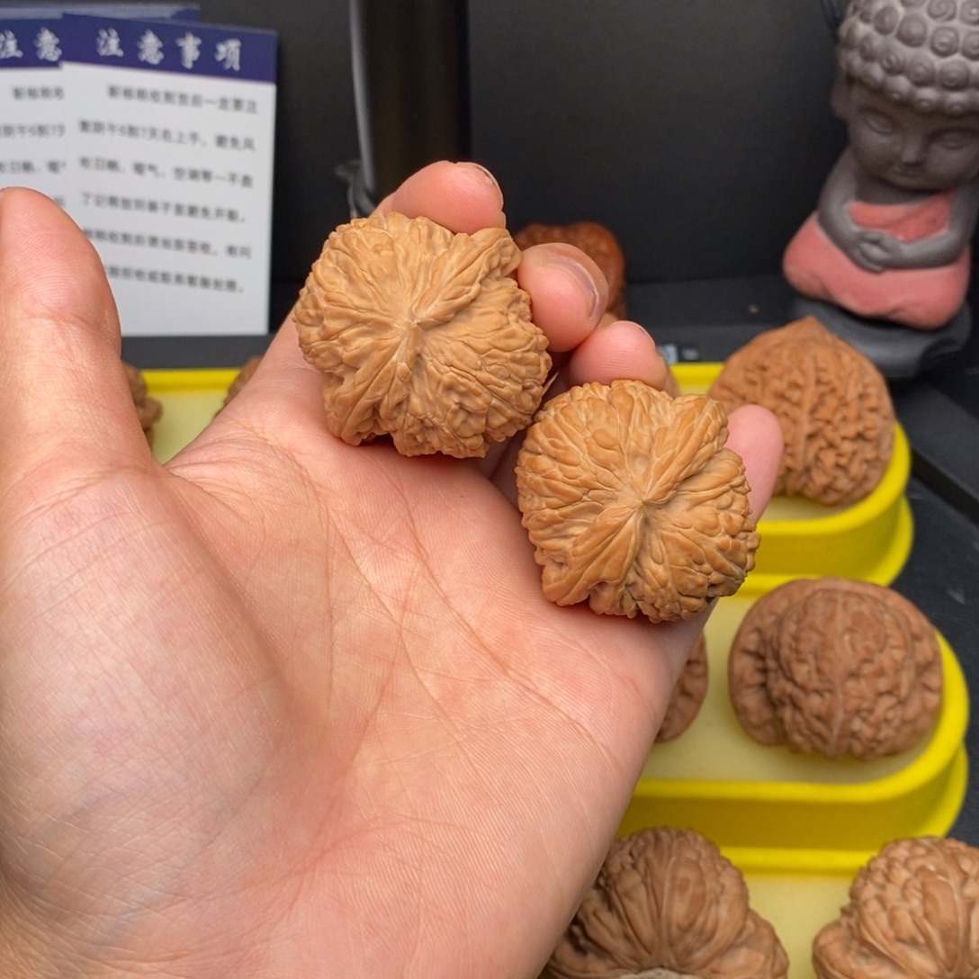 把件核桃39白狮子福利对