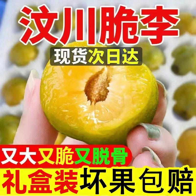  【顺丰包邮】正宗汶川脱骨青脆李产地直发四川现摘脱骨李子青脆李