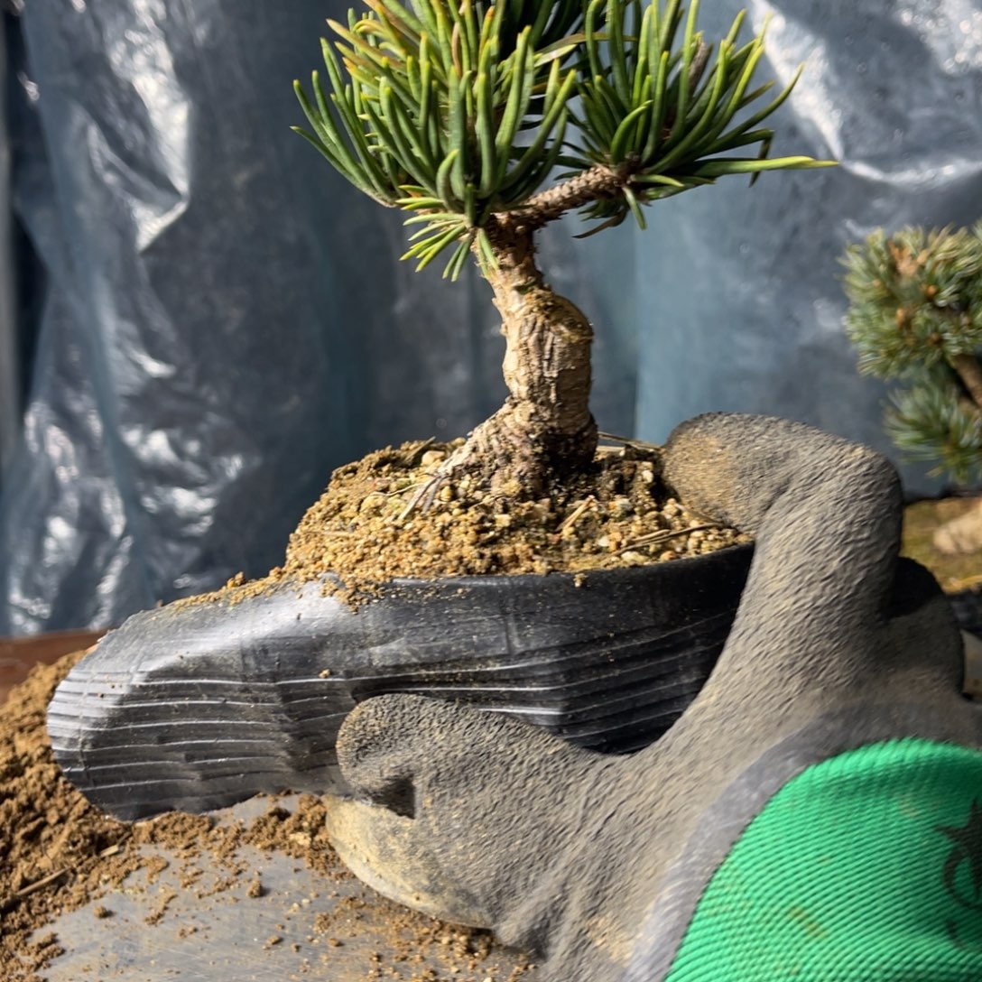 用***4完全开放一个包邮40