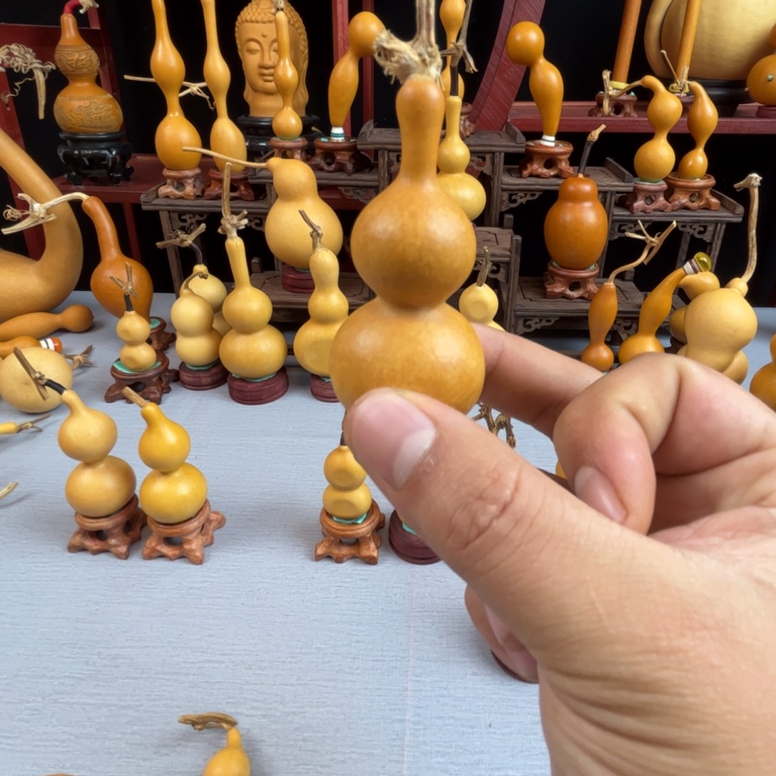 又***山藤木我的小可爱，一点也不像个女孩