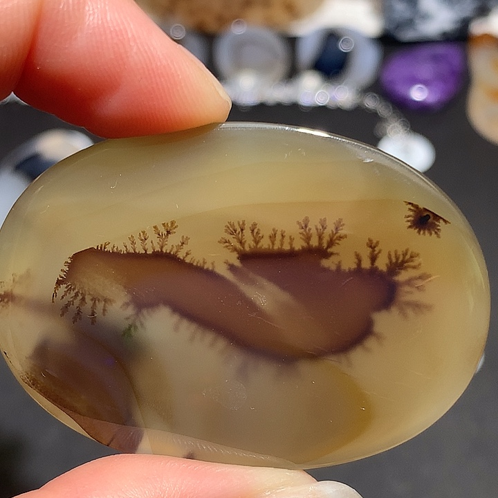 未镶嵌玛瑙/玉髓珠宝奇石