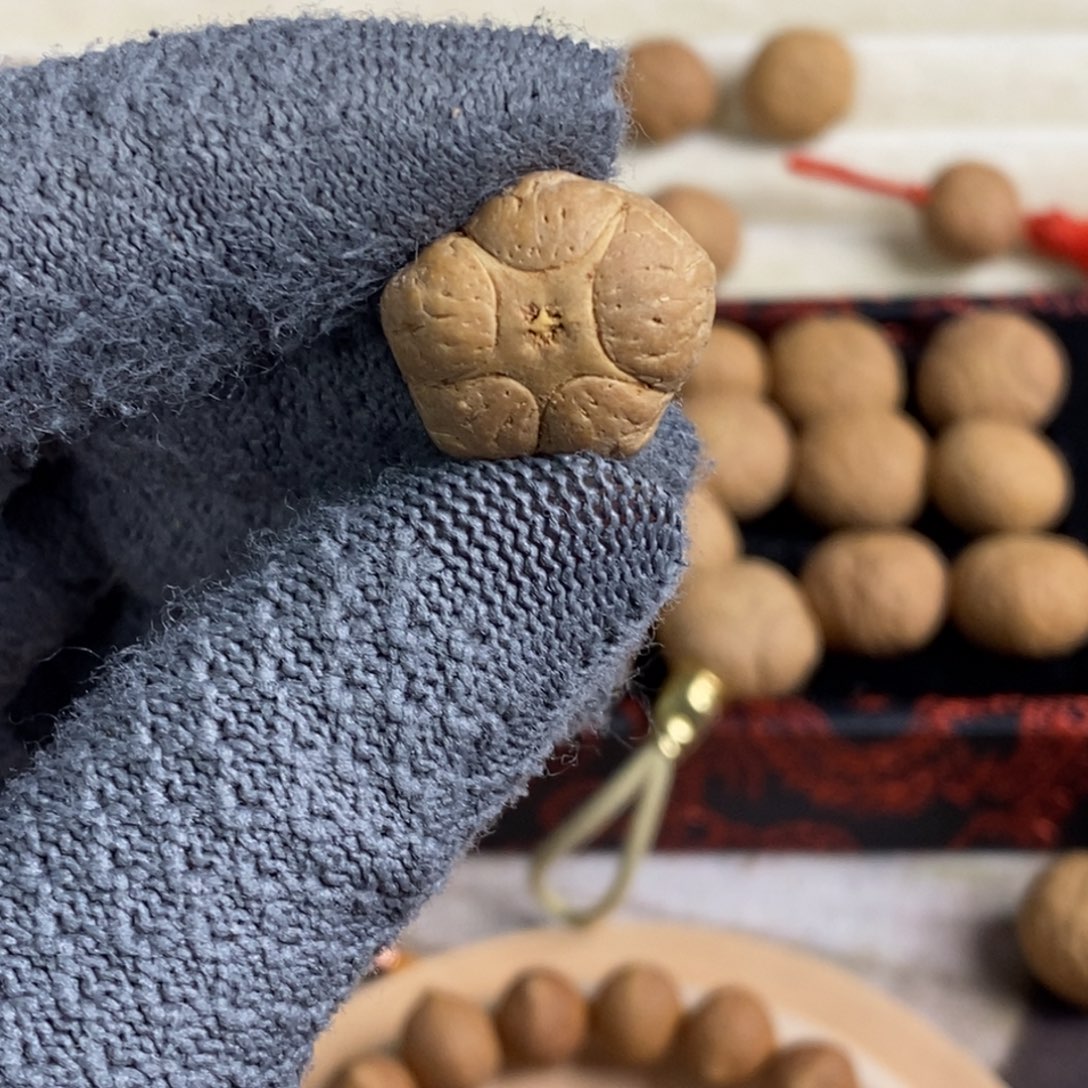 吊坠凤眼菩提19.5五星单颗