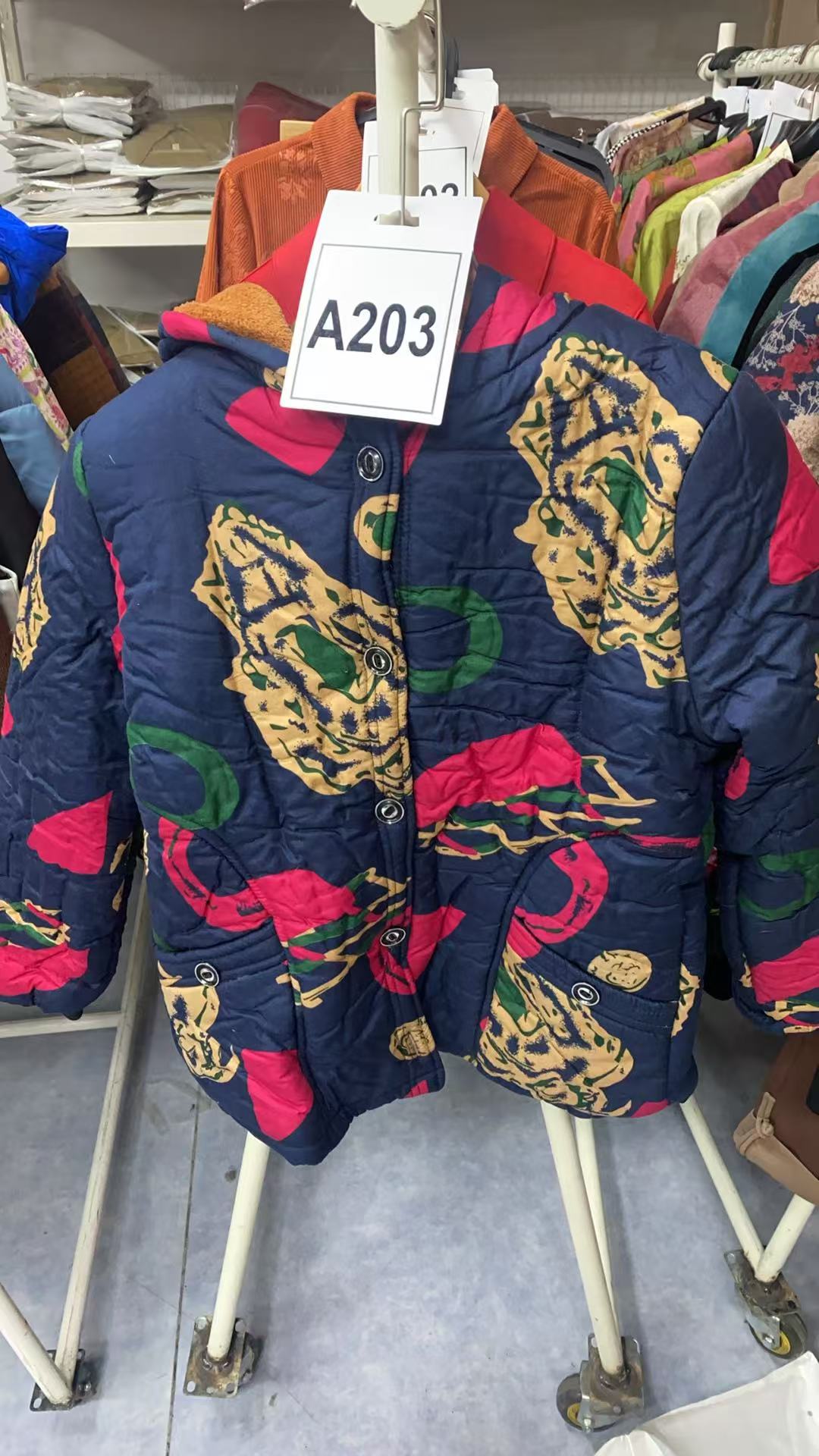 A203-秋冬爆款女士上衣