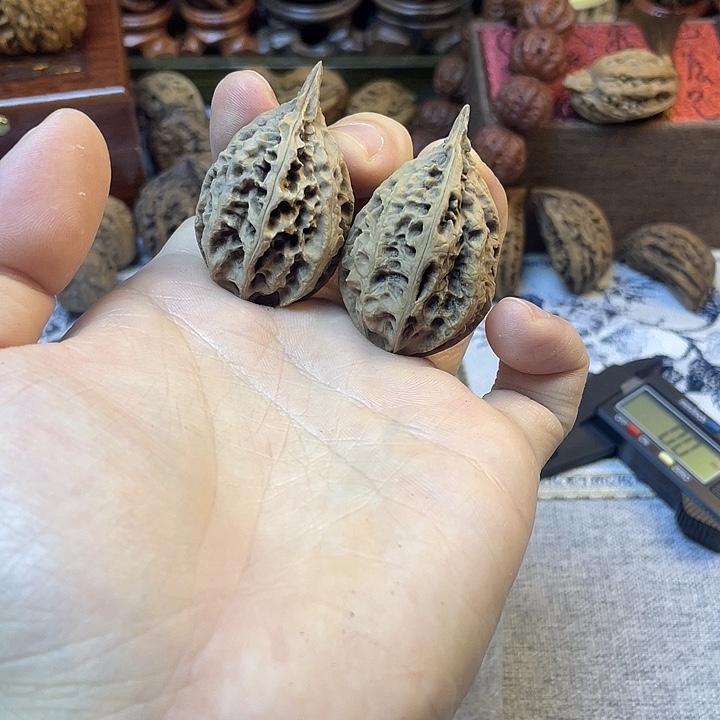 核桃东北楸子高尖龙脊10