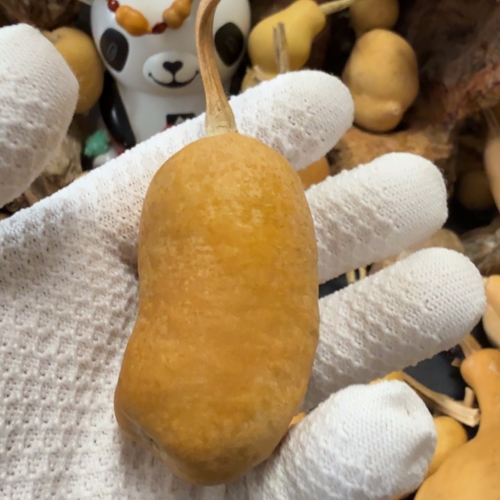 童***机6666666666676666666