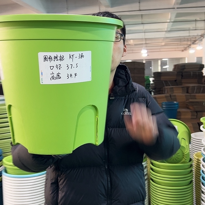 正品圆控口37.5高34果绿无托3只