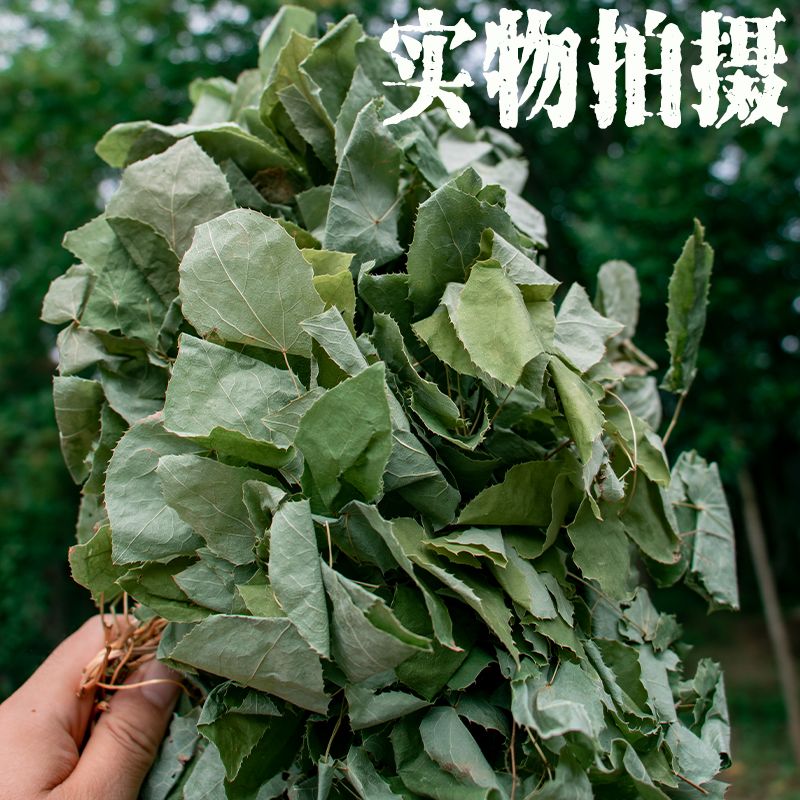 长白山野生9叶，泡酒泡茶，送一小包五味子